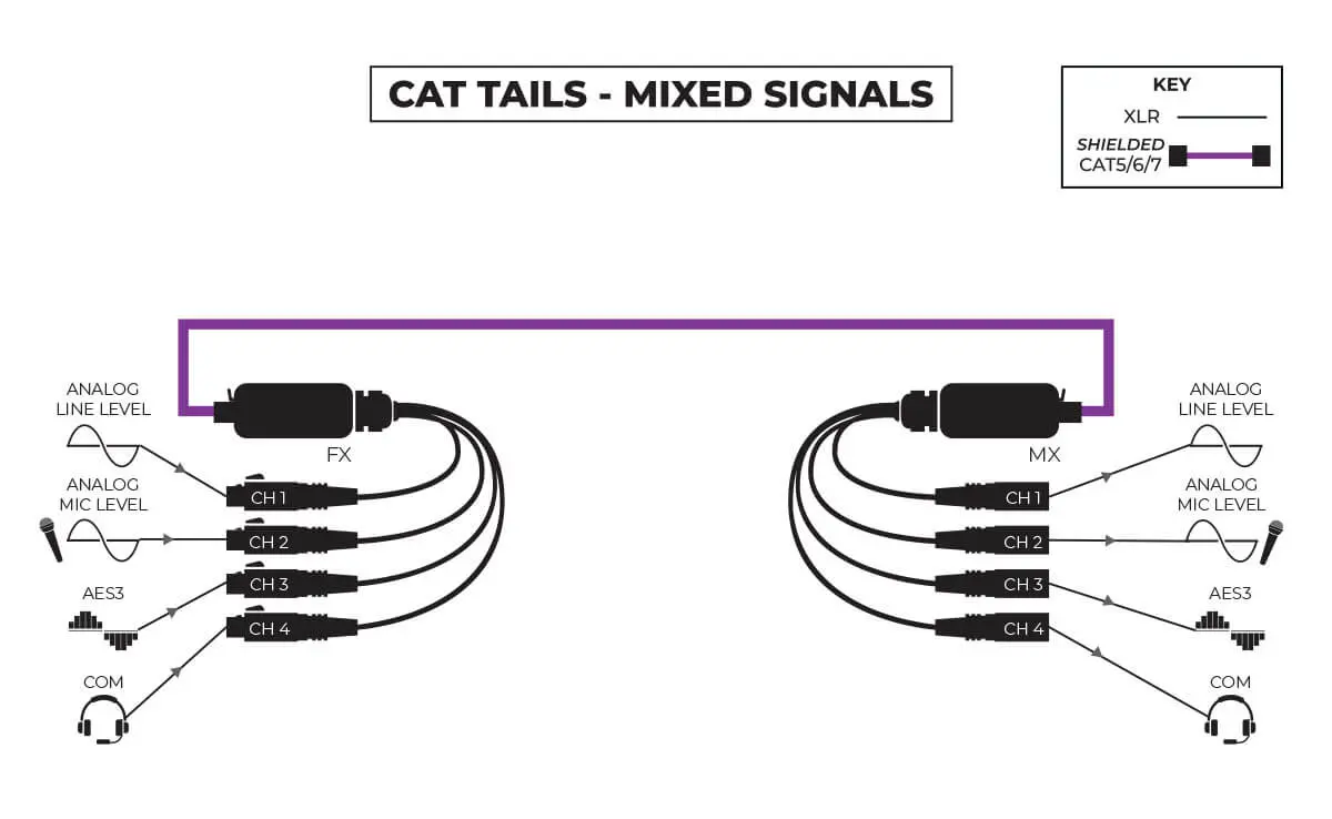 CAT Tails - mixed signals